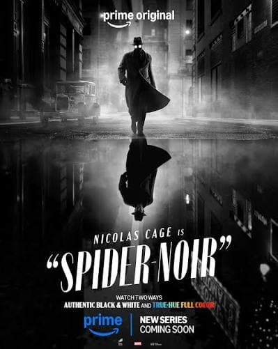 Spider-Man Noir poster